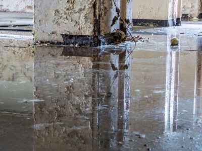 About Protecting Homes and Businesses from Long-Term Water Damage - water damage restoration experts in Cherokee, AL